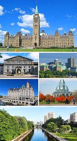 Ottawa bureaucrats punished after 43 confirmed cases of misconduct